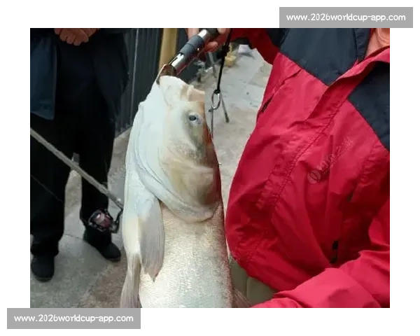 小孩哥单手擒大鱼!钓鱼佬:我的装备白升级了 小孩哥单手擒大鱼!钓鱼佬:我的装备白升级了