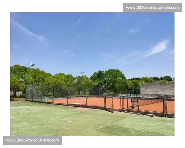 生态东滩挥拍开赛！2025 崇明杯网球联赛点燃绿色激情